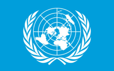 UN Sanctions (12th November 2025)